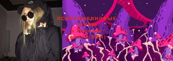дживик Гусиноозёрск