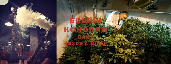 не бодяженный Горно-Алтайск