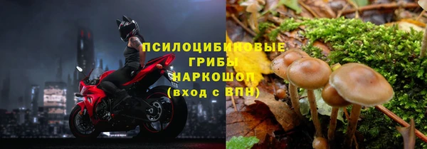 соль курить ск Горняк
